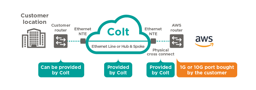 Dedicated-Cloud-Access-with-Amazon-Web-03.png