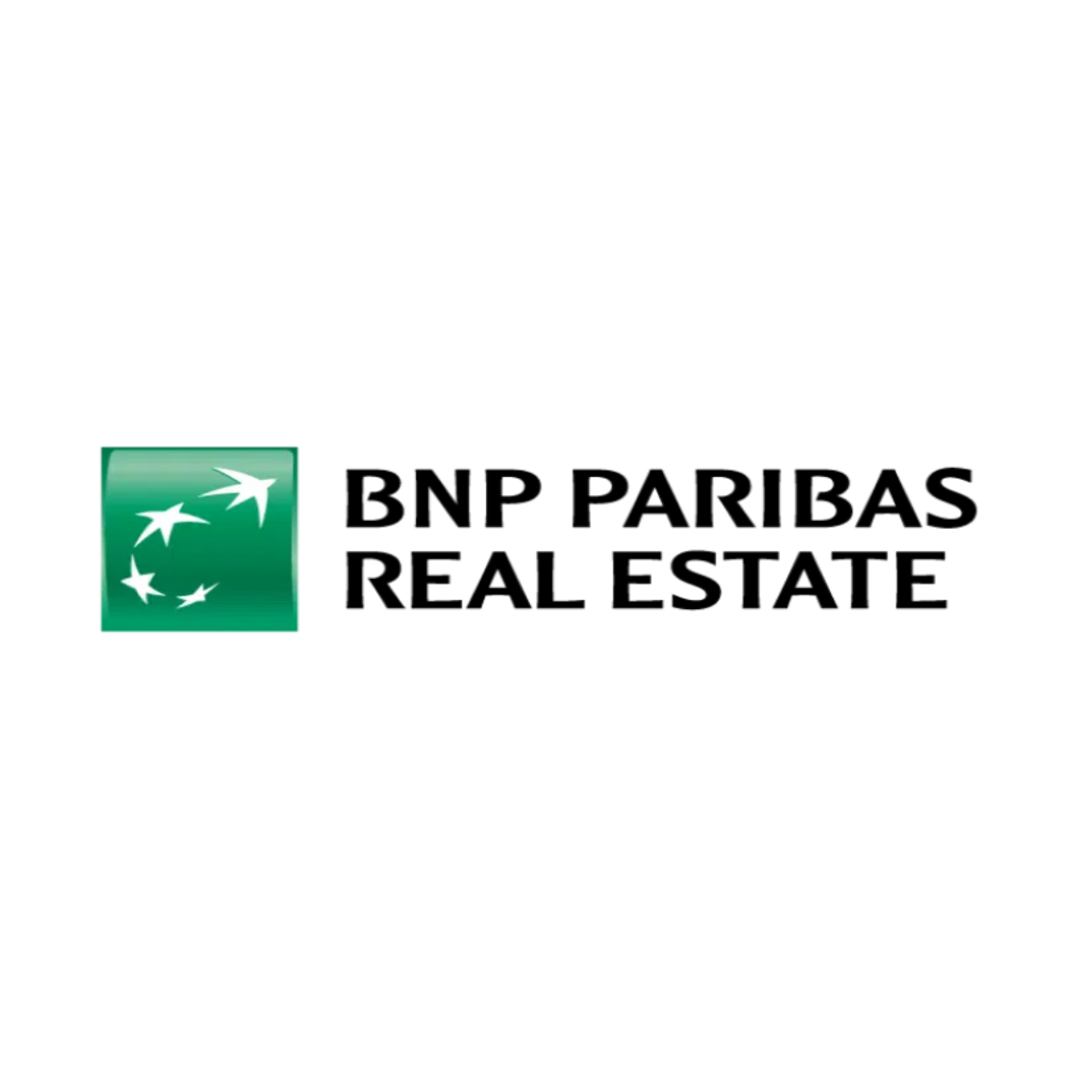 BNPPRE circular logo (1)