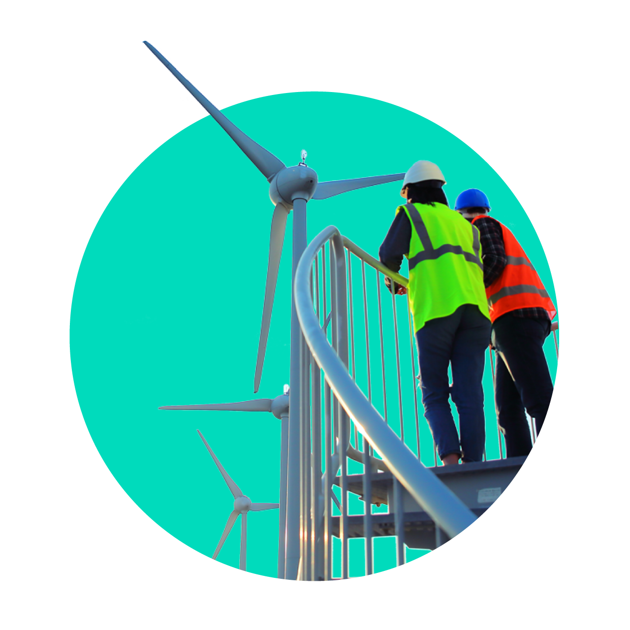 Environmental Sustainability