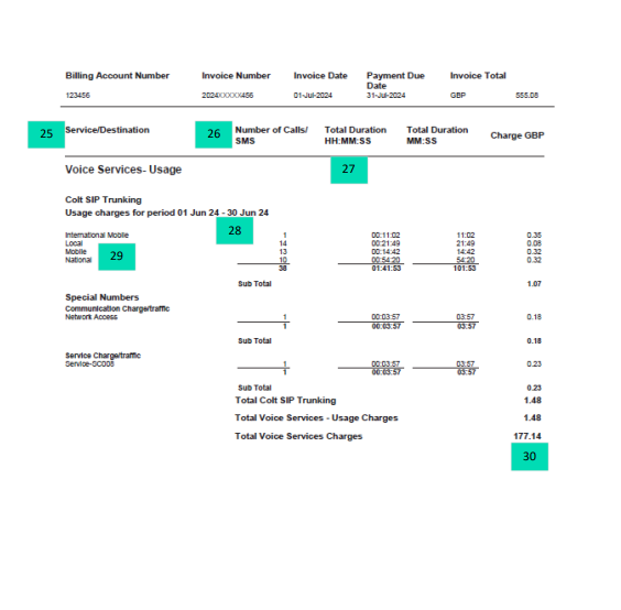 Default Invoice Page 6