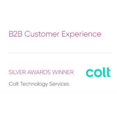 B2B Customer Experience Silver
